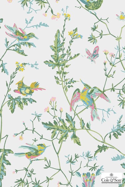 Hummingbirds