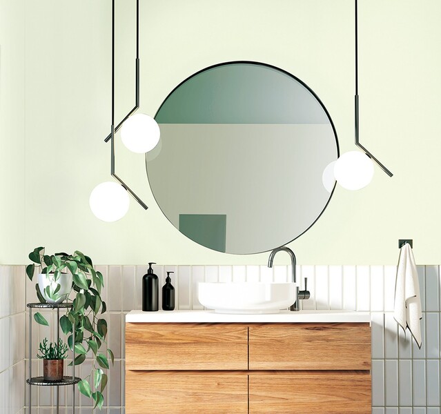 マッスルウォール/ファブリーズ ペールカラー