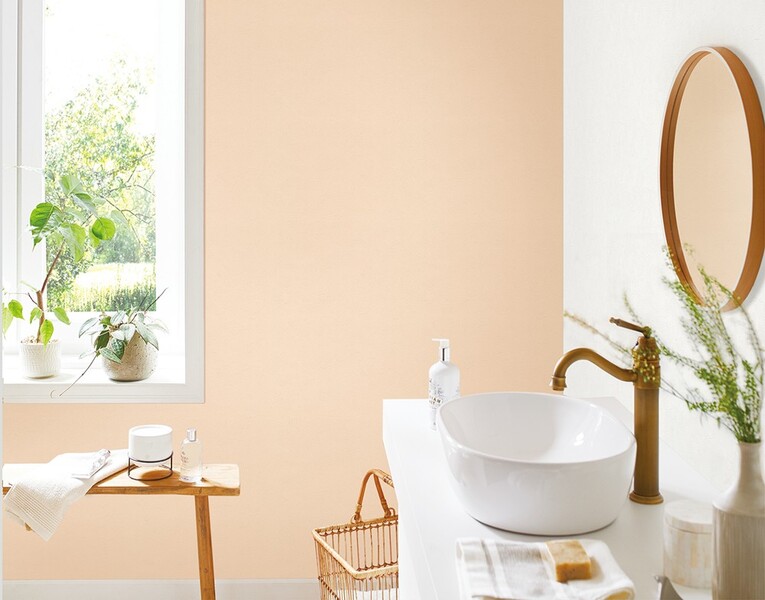 マッスルウォール/撥水コートタイプ パウダリーカラー