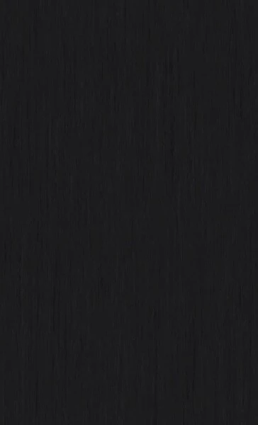 ブラック ノンワックスコーティング＋抗菌+土足OK 東リ 20FL1508