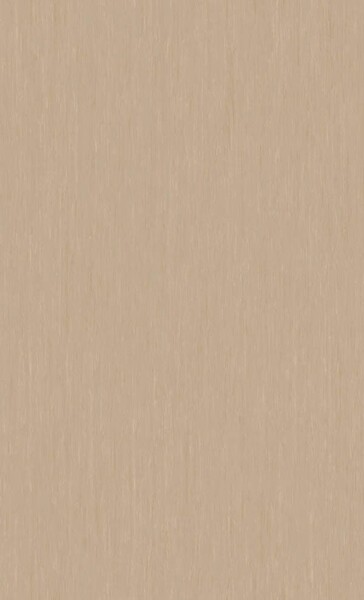 ベージュ ノンワックスコーティング＋抗菌+土足OK 東リ 20FL1509