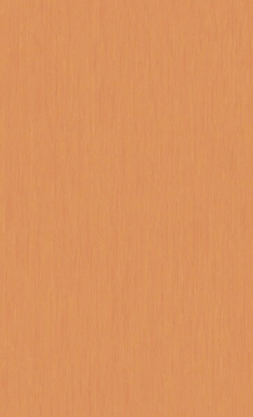 オレンジ ノンワックスコーティング＋抗菌+土足OK 東リ 20FL1527