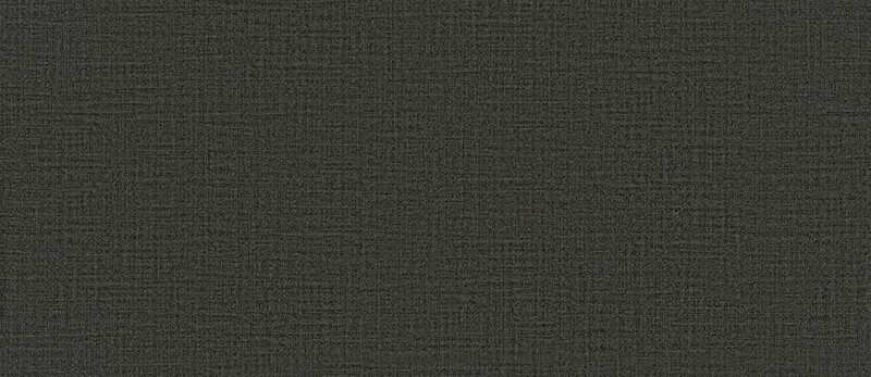スモークブラック ノンワックスコーティング＋抗菌+抗ウイルス+土足OK 東リ 20FL744 