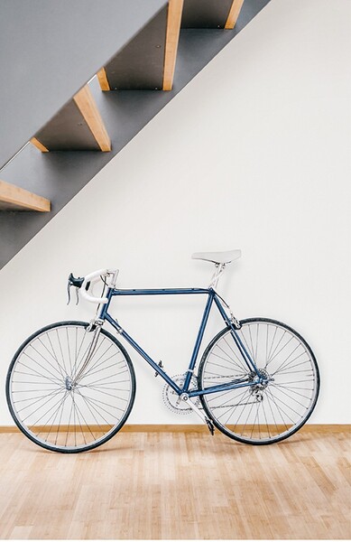 Phiten(ファイテン) アクアチタン壁紙 ベースカラー