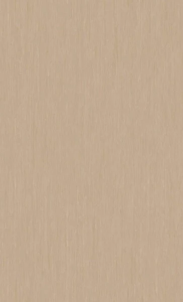 ベージュ ノンワックスコーティング＋抗菌+土足OK 東リ 25FL1509