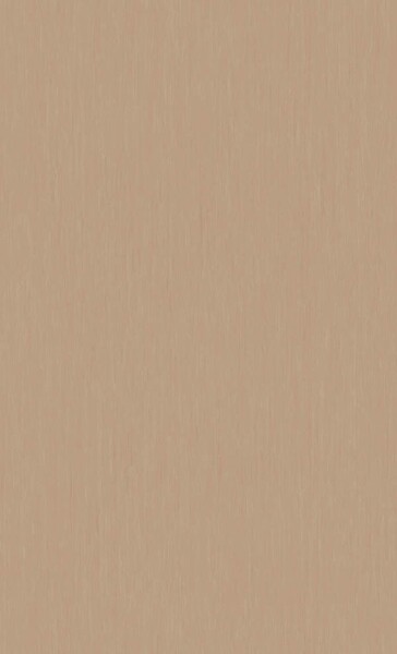 グレー ノンワックスコーティング＋抗菌+土足OK 東リ 25FL1515