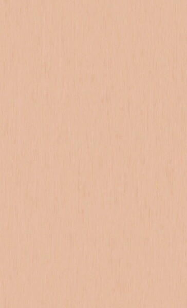 ピンク ノンワックスコーティング＋抗菌+抗ウイルス+土足OK 東リ 25FL1531 