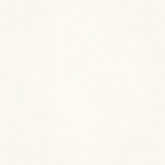 ホワイト系ベースカラー壁紙