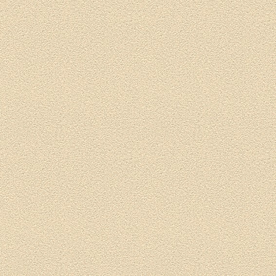 質感豊かな和調壁紙