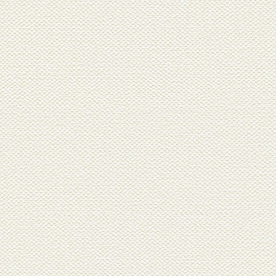 ベーシックカラー壁紙