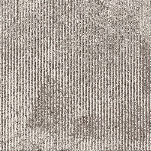 LIGHT AESTHETIC F ライトエステティックF