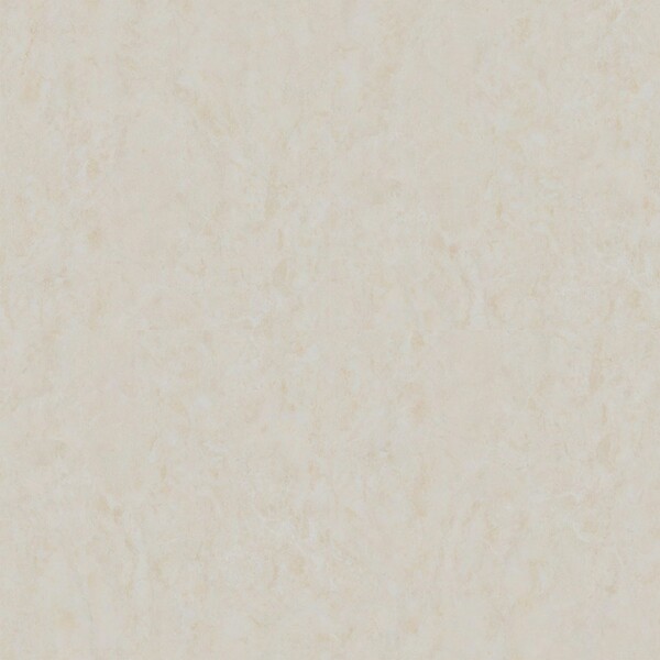 イークリンNW-EX カピストラーノ