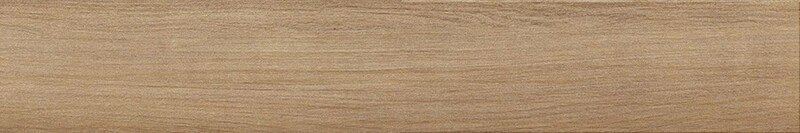 イークリンNW-EX　シャイニングオーク