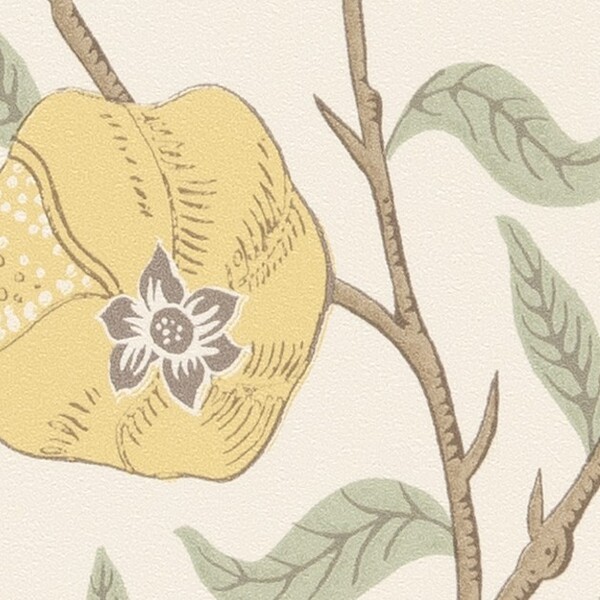 MORRIS CHRONICLES/FRUIT フルーツ