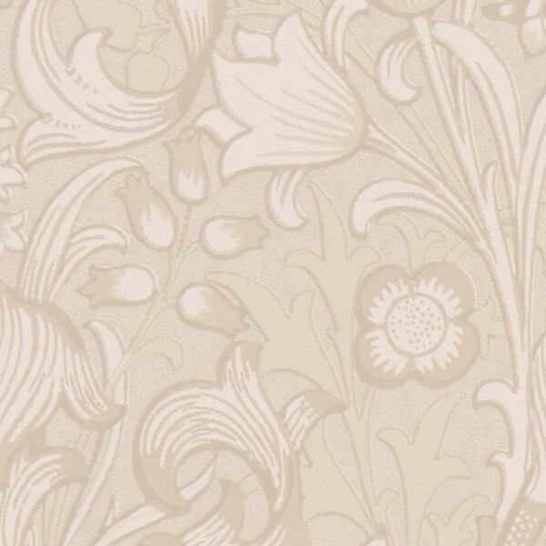 MORRIS CHRONICLES/GOLDEN LILY ゴールデンリリー