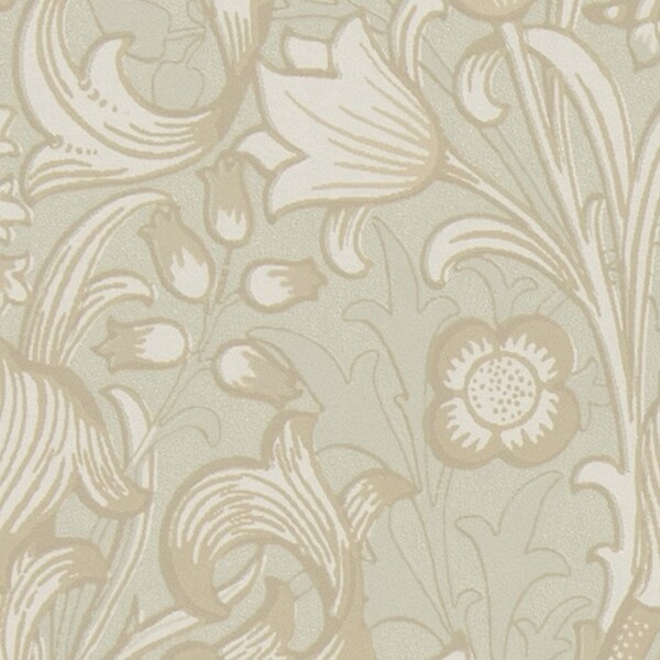 MORRIS CHRONICLES/GOLDEN LILY ゴールデンリリー