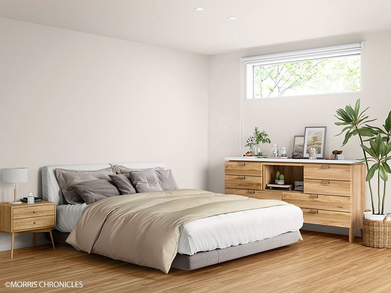 MORRIS CHRONICLES/MORRIS CHRONICLES PLAINS PALETTE