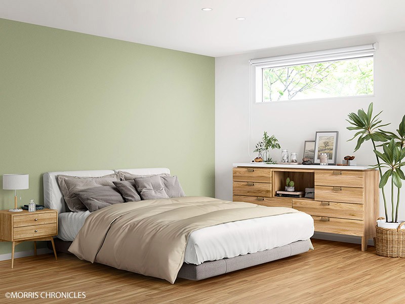 MORRIS CHRONICLES/MORRIS CHRONICLES PLAINS PALETTE