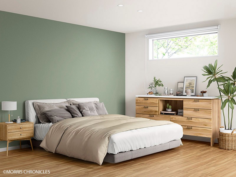 MORRIS CHRONICLES/MORRIS CHRONICLES PLAINS PALETTE