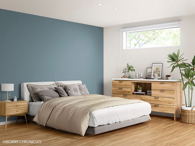 MORRIS CHRONICLES/MORRIS CHRONICLES PLAINS PALETTE