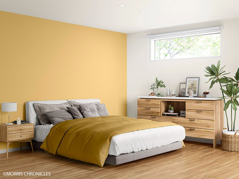 MORRIS CHRONICLES/MORRIS CHRONICLES PLAINS PALETTE