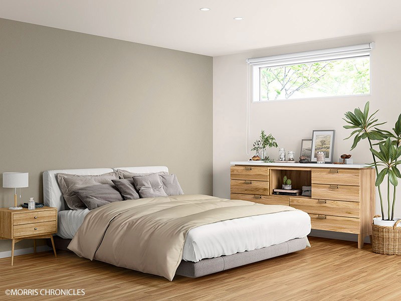 MORRIS CHRONICLES/MORRIS CHRONICLES PLAINS PALETTE