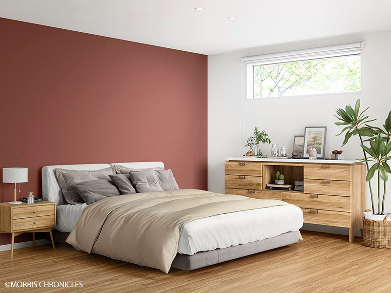 MORRIS CHRONICLES/MORRIS CHRONICLES PLAINS PALETTE