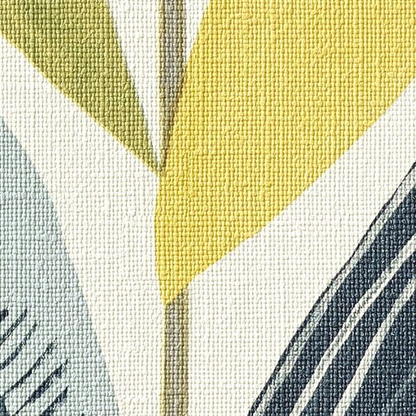 SCION(サイオン)/HIKKADUWA