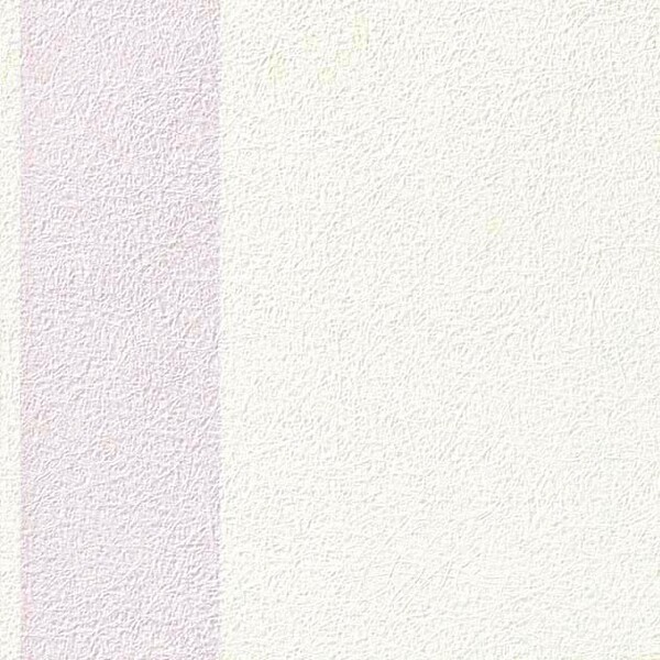 SCION(サイオン)/HOPPA STRIPE