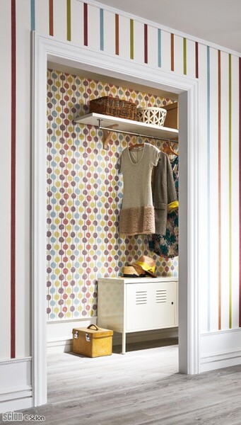 SCION(サイオン)/HOPPA STRIPE