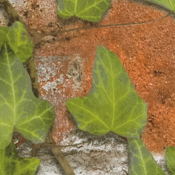 ゴージャスなボタニカルデザイン壁紙