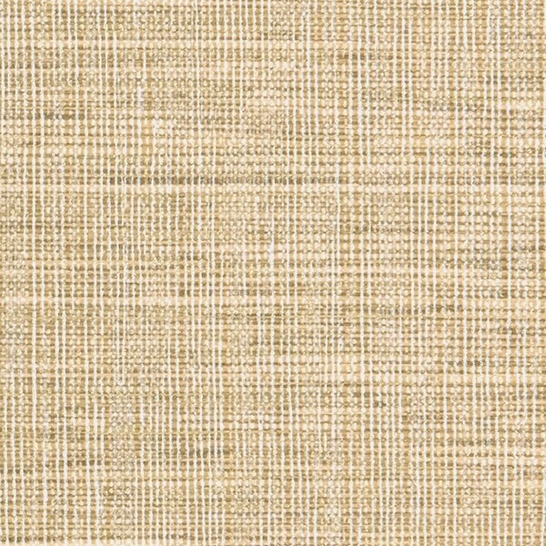 TEXTURE & COLOR/Lucent Strings ルーセントストリングス