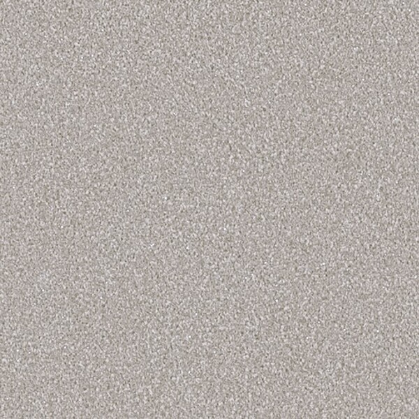 TEXTURE & COLOR/Shimmer Sand シマーサンド