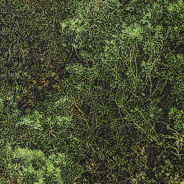FOREST　フォレスト