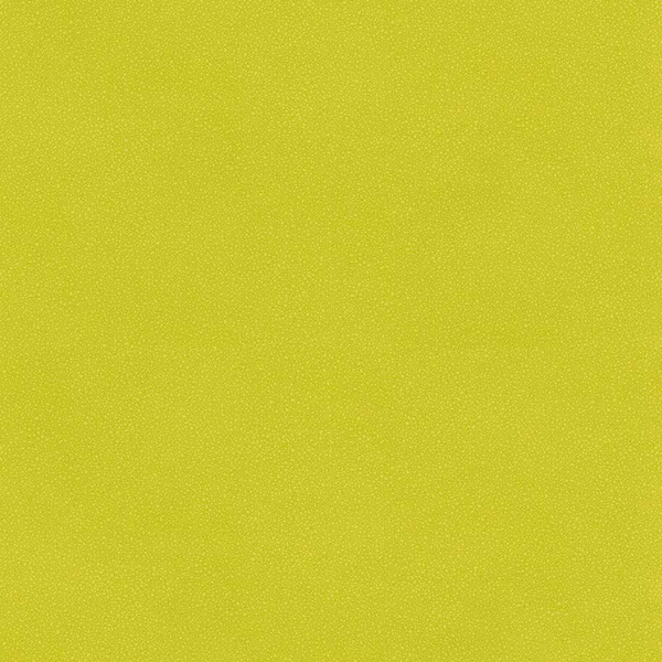 リップルシャイン