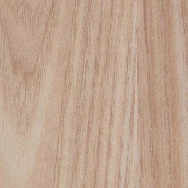 ナーシングフロアV エルム