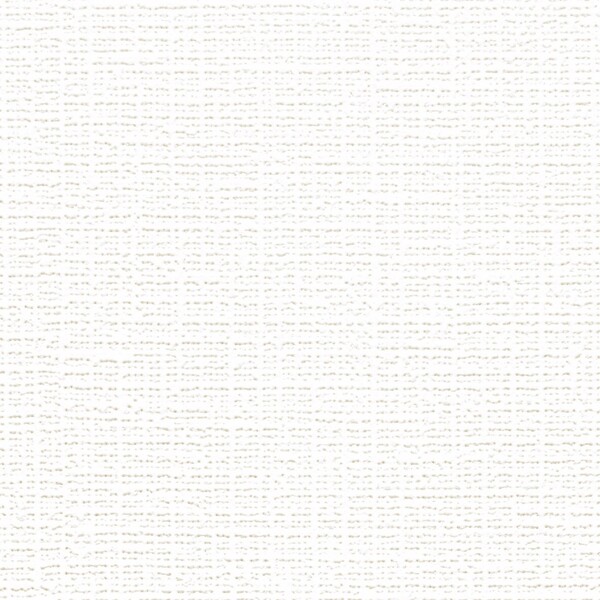 ライトアイボリー 織物調 汚れ防止 抗菌 表面強化 防かび リリカラ LB9523 旧品番LB9215