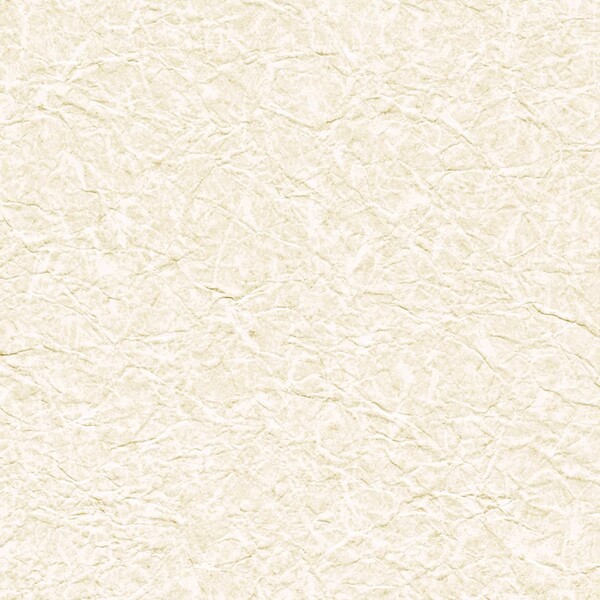 ベージュ 塗り壁調 防かび リリカラ LB9597 旧品番LB9298