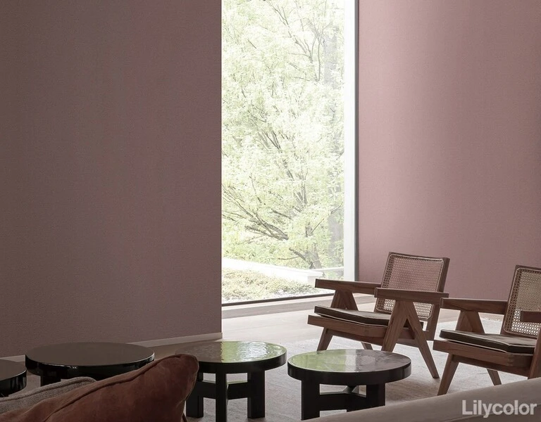 mood/オーガニックモダン