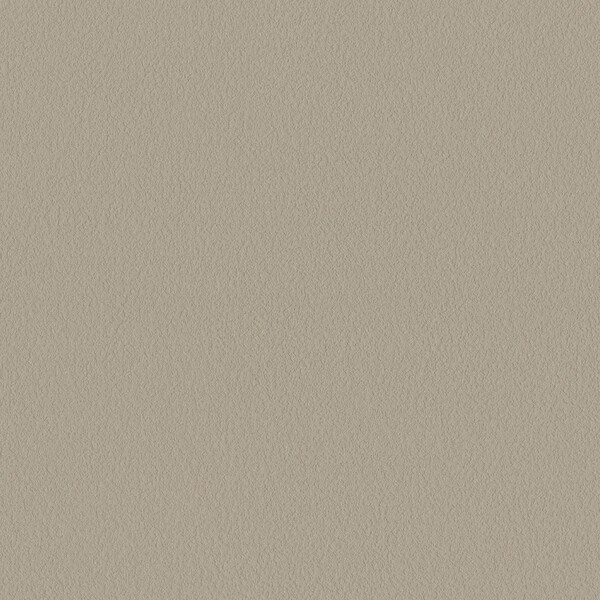 mood/カラーバリエーション