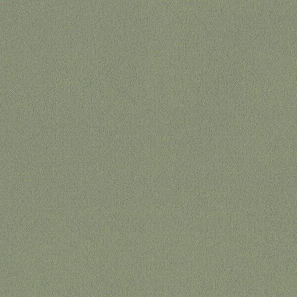 mood/カラーバリエーション