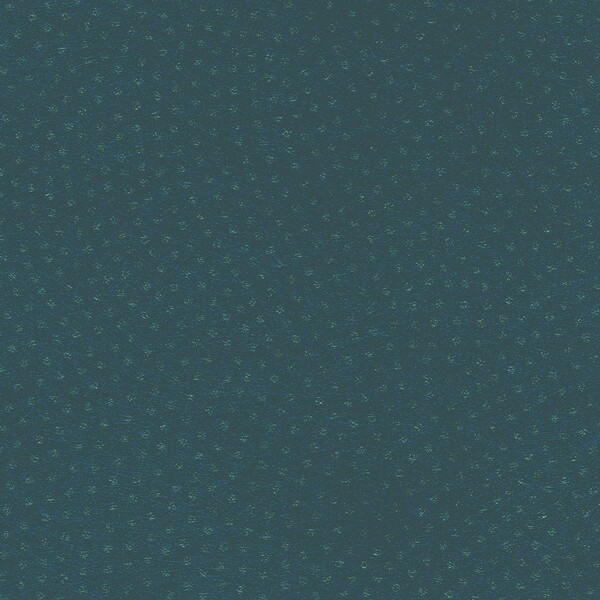 紀尾井kioi/鮫小紋