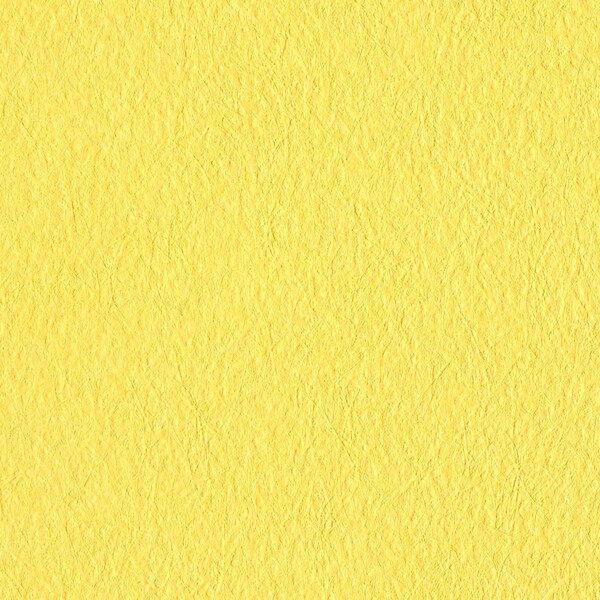 カジュアルカラー壁紙