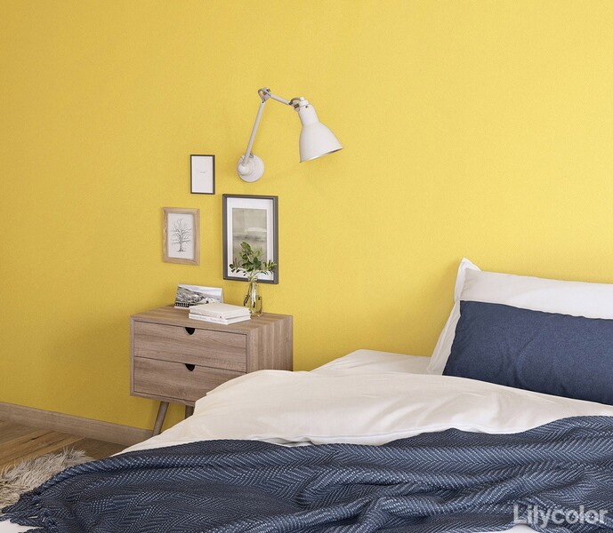 カジュアルカラー壁紙