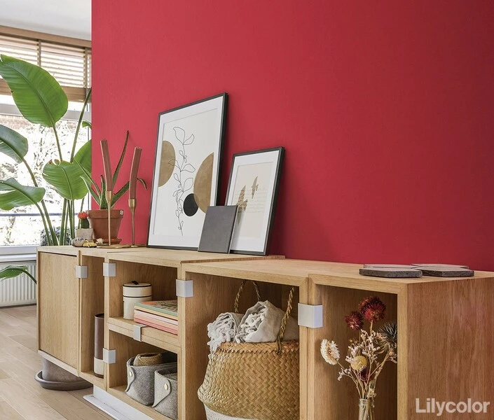 撥水トップコート　ベーシック＆カラー