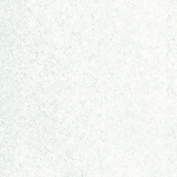 スーパー強化+汚れ防止（ペット対応）