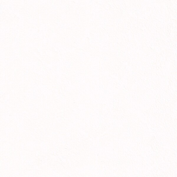 抗ウイルス壁紙/ウイルスアーマー