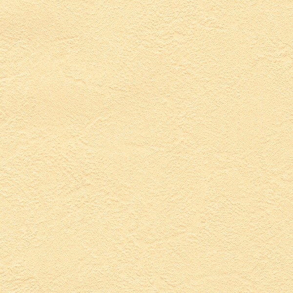 抗ウイルス壁紙/ウイルスアーマー