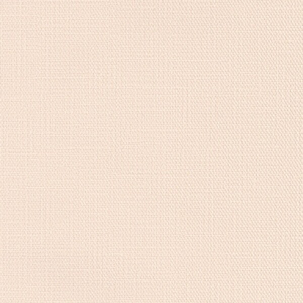 抗ウイルス壁紙/ウイルスアーマー