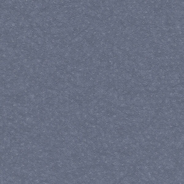 紀尾井kioi/鮫小紋